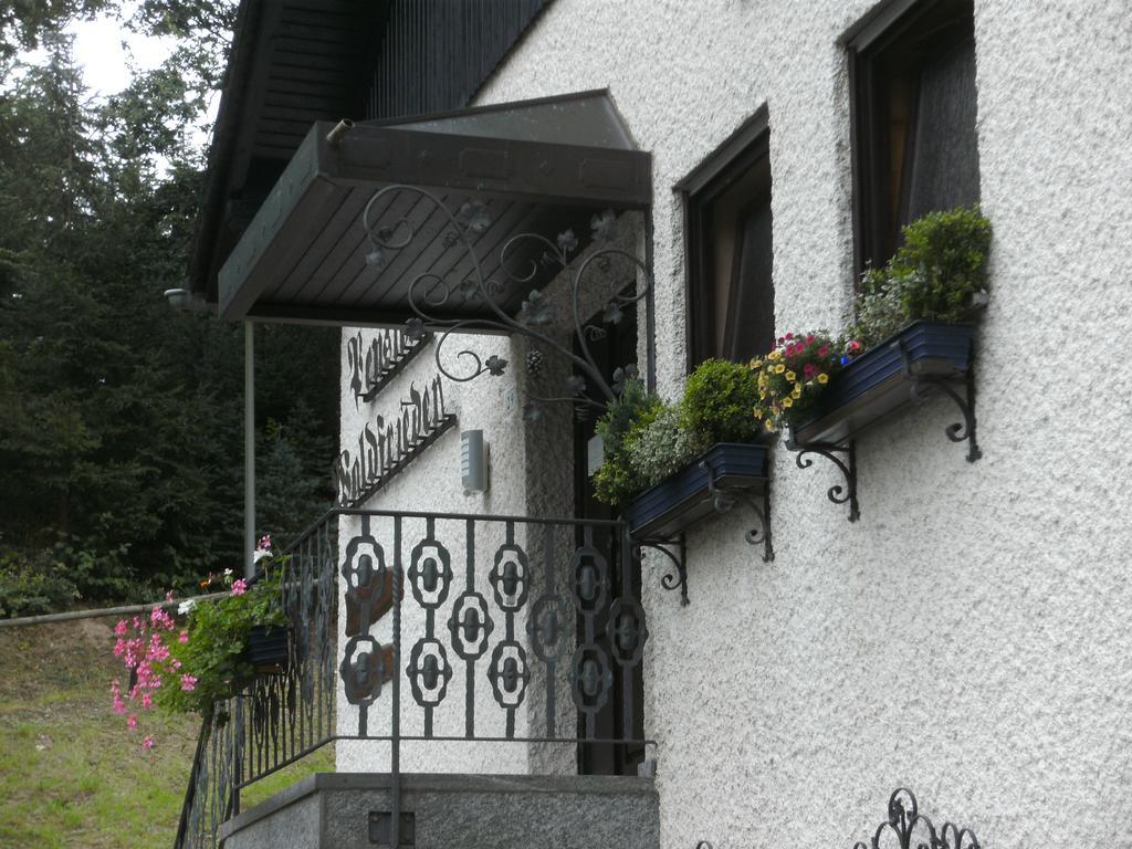 Pension Waldfrieden Maring-Noviand Екстериор снимка